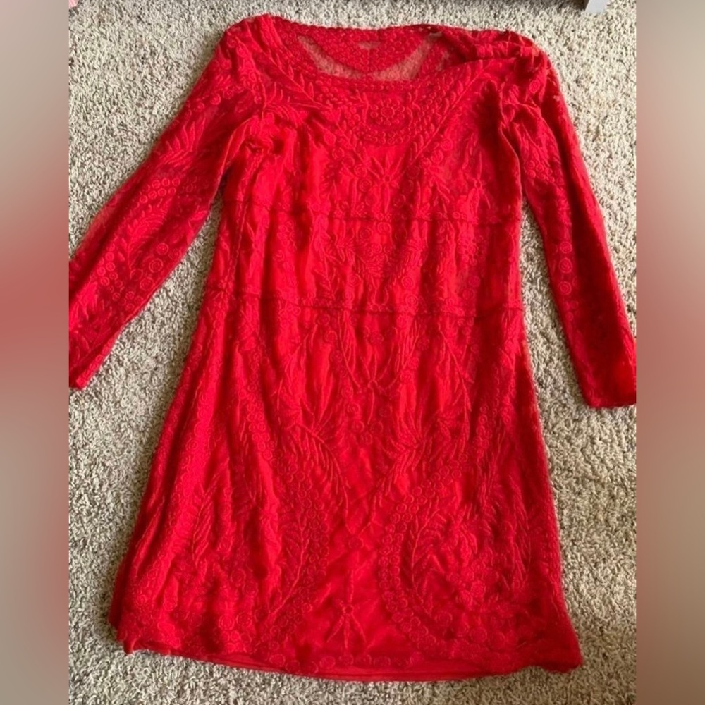 Express Lace Dress
